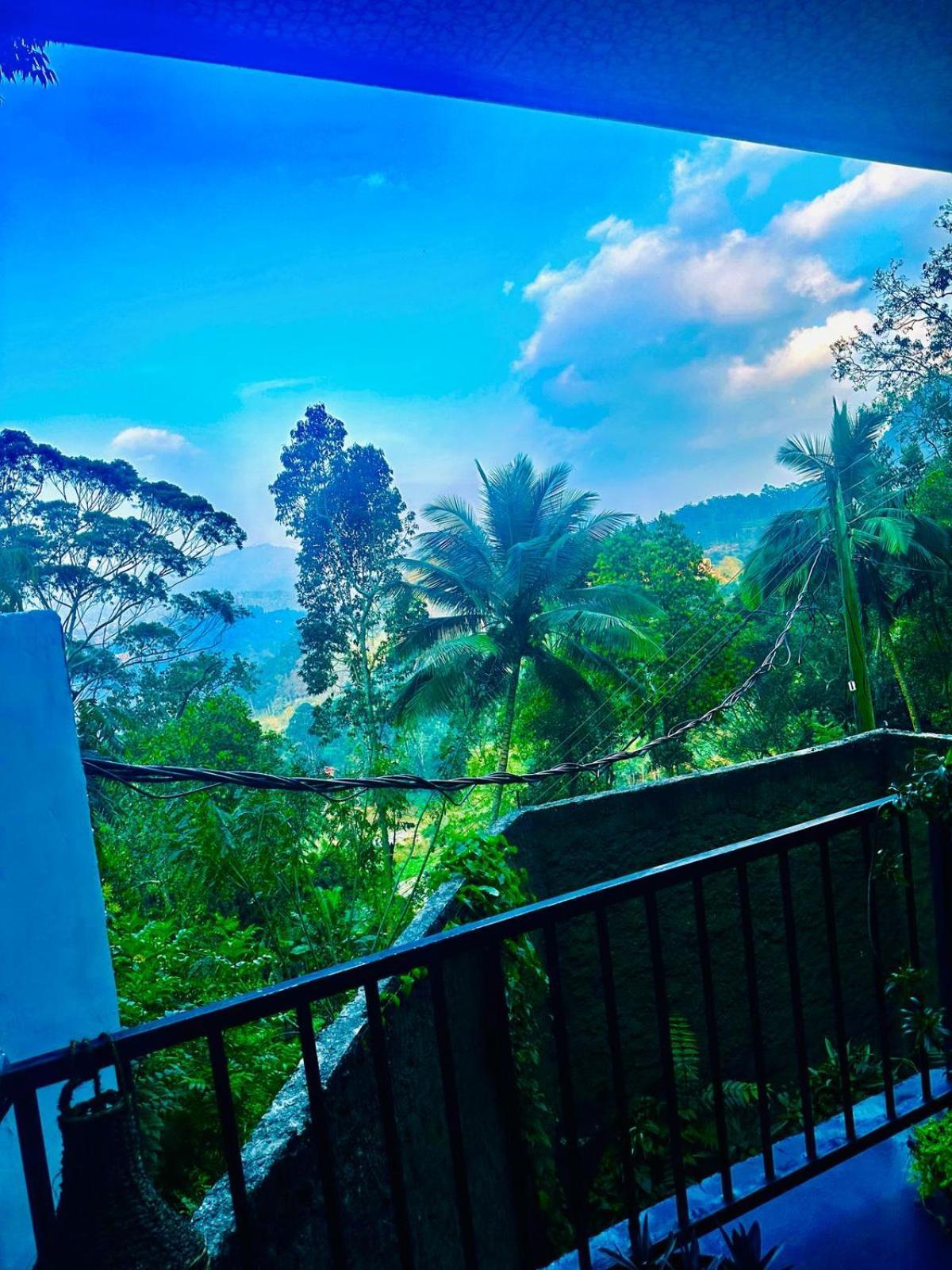 Shining Green View Ella Phòng bức ảnh