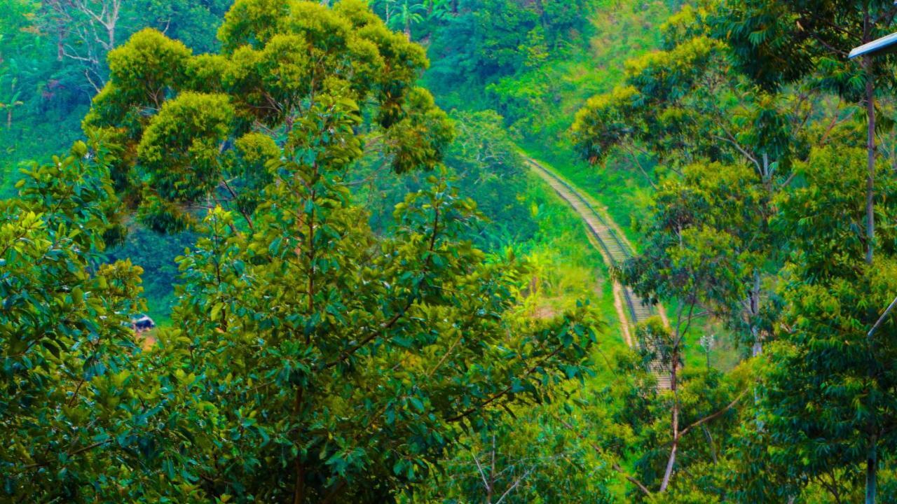 Shining Green View Ella Ngoại thất bức ảnh